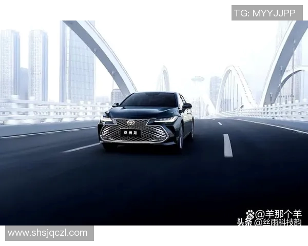 北京排球队在洲际杯积分榜上以52分稳居第一名展现强劲实力