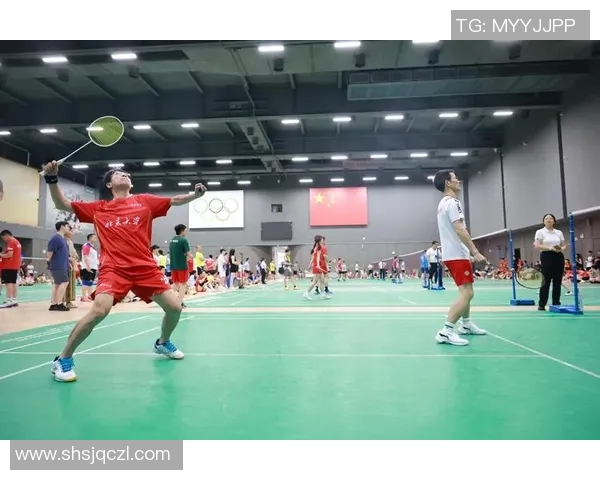 北京羽毛球队整体压制战术解析与实战应用研究 北京羽毛球队整体压制战术解析与实战应用研究