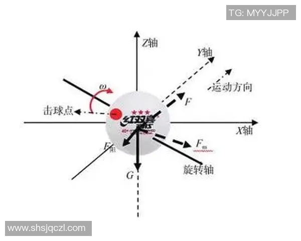 南京乒乓球队战术解析与控制体系的深度剖析与应用探讨