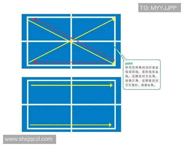 成都乒乓球队在精英赛中的战术运用与表现分析