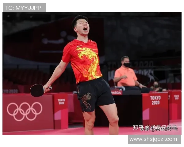 西安乒乓球队战术解析与发展策略探讨之聚焦乒乓球