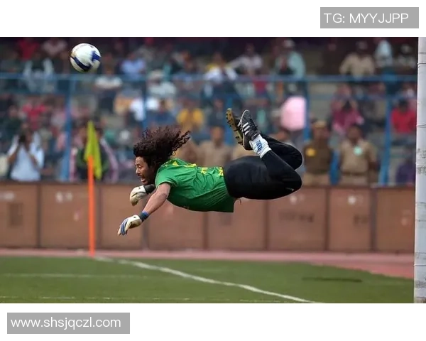 足球明星高清图片欣赏与精彩瞬间解析全方位展示球场传奇风采