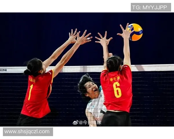排球巨献：探秘深圳排球队的团队协作