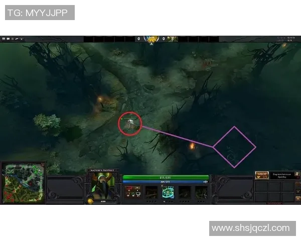 DOTA2深度：解密BLG的区域防守