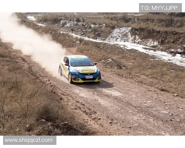 世界攀岩锦标赛积分榜：武汉极限运动队以56分领跑